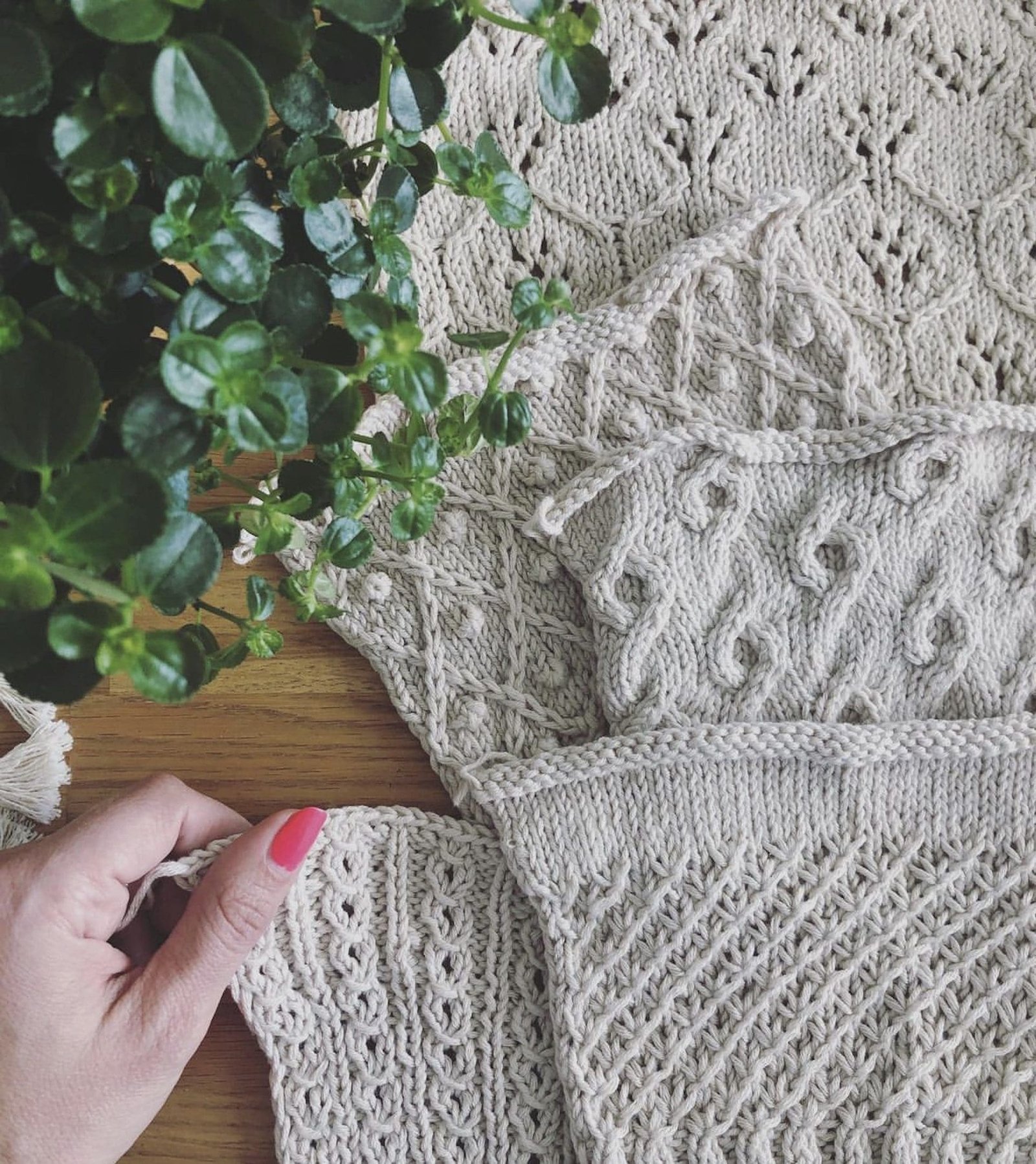 Hand holding beige knit fabric with cable stitch pattern. Green plant on wood table. Knitting project.