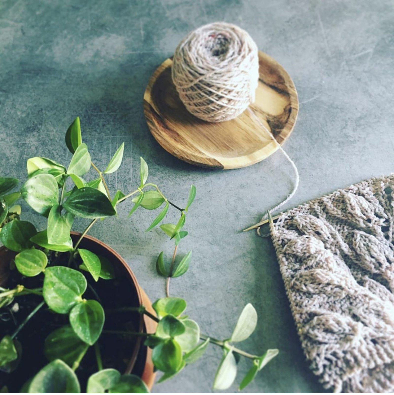 Still life with knitting, yarn ball on wood plate, and a potted plant. Knitting needles visible.